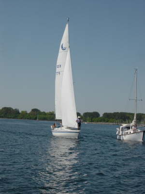 DSC07453